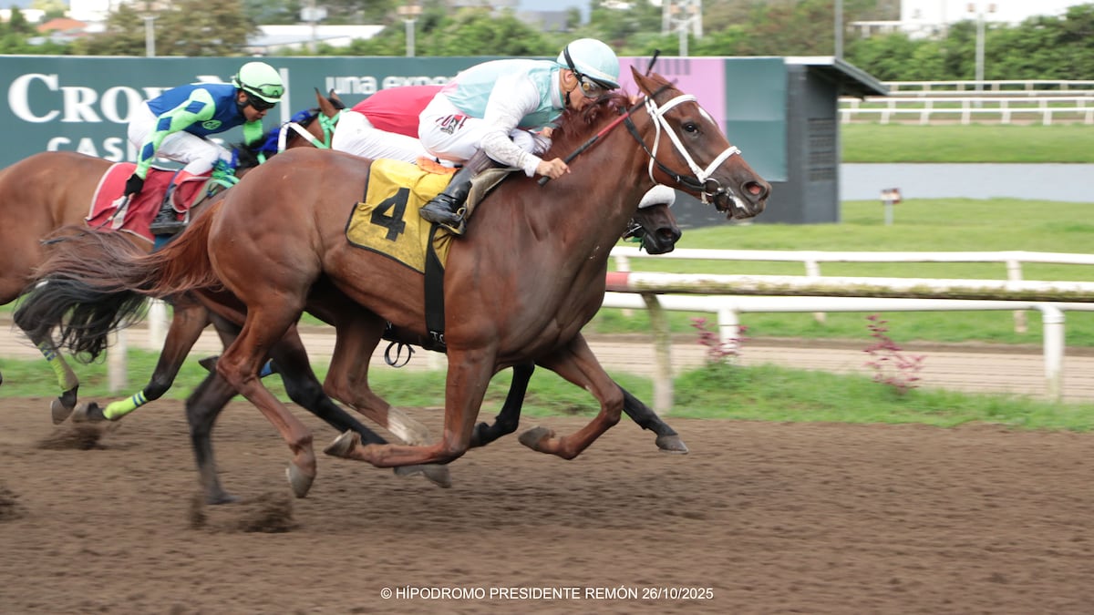 Nueva joya de la hípica panameña: ‘Sol Goforit’ conquista el Clásico con clase y destreza