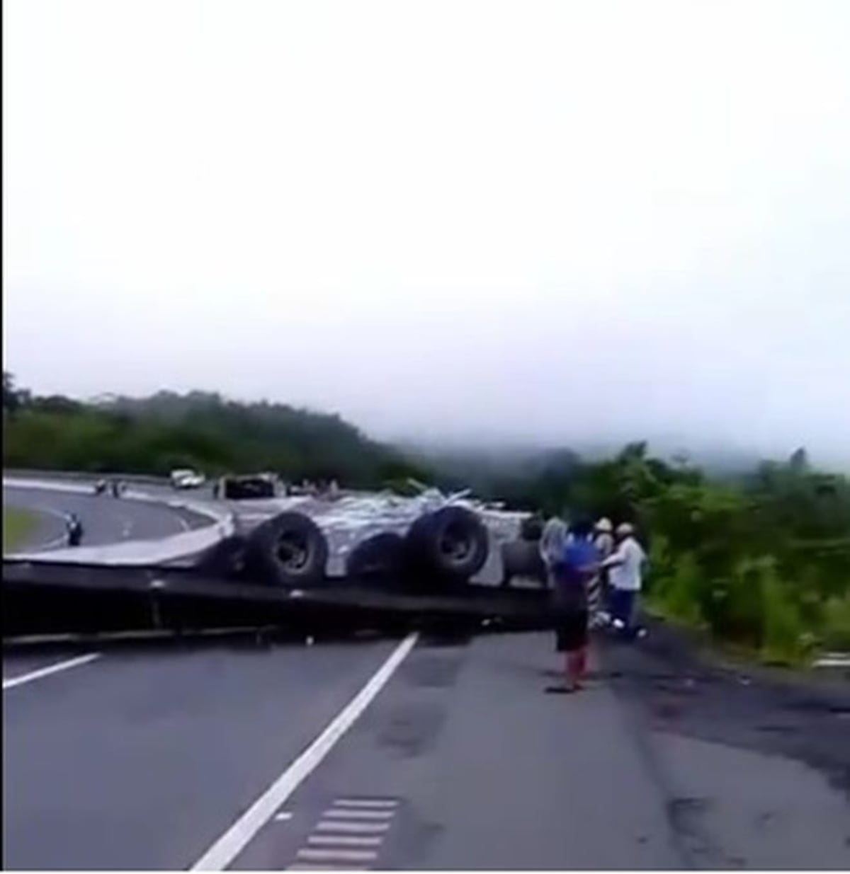 Mula choca y se vuelca en Veraguas | Video