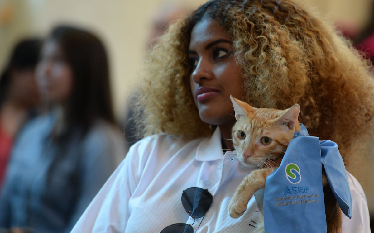 Una misa para la bendición de animales en la parroquia  San Francisco de Asís en San Felipe