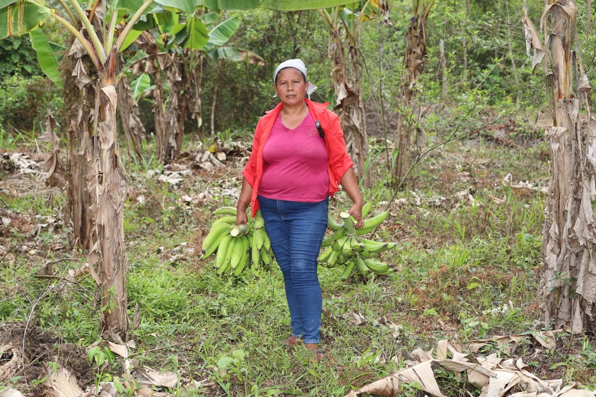 Con machete y botas: así trabaja Aida Rodríguez, una guerrera del campo en Panamá