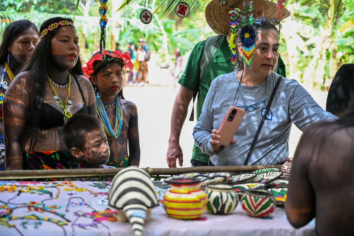 Café y huertos cambian la vida en Cerro Naipe, Darién, el orgullo emberá que llega a tu mesa