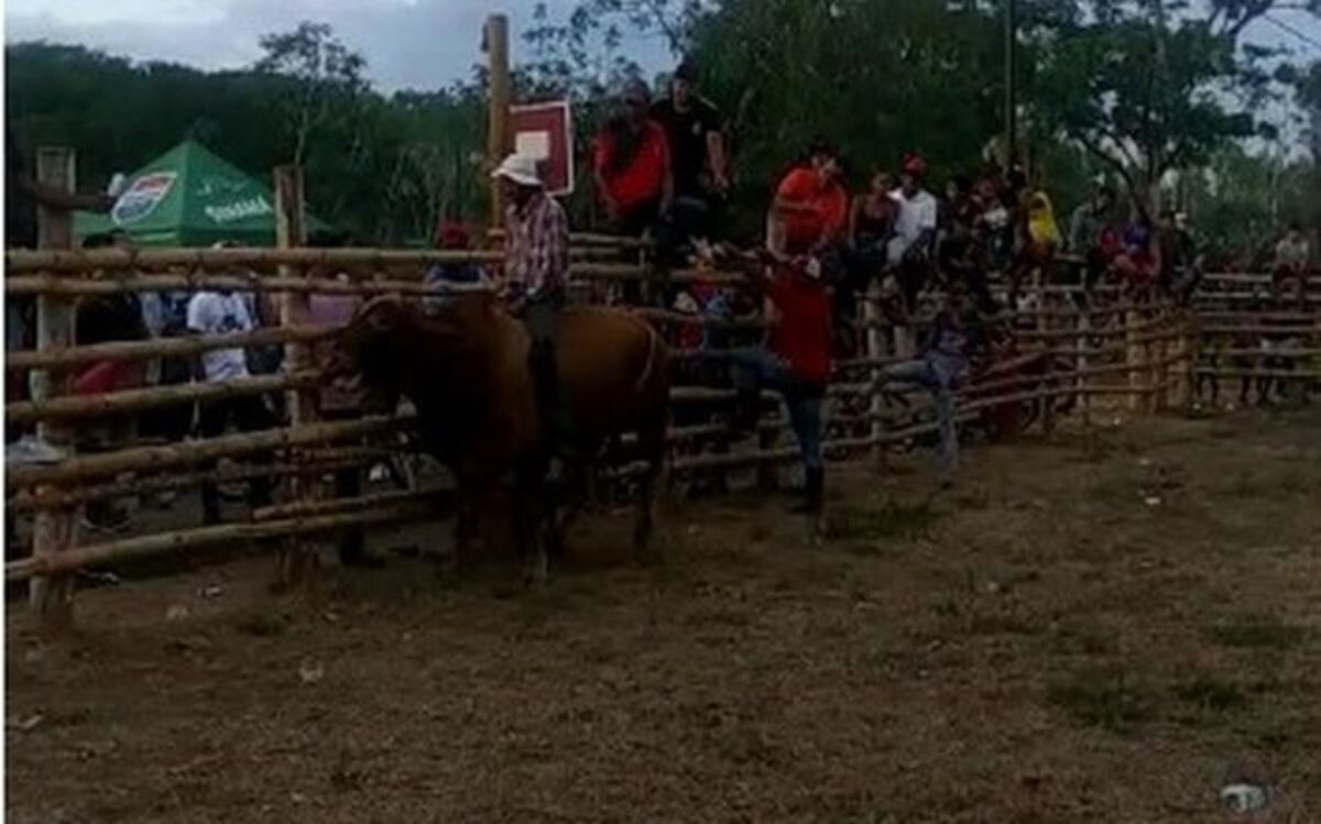Impactante. Muere al caer de un toro en pleno Carnaval. Circula video