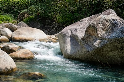 ¡Qué tragedia! Salió a ver si había clases y no regresó: hallan sin vida en la Comarca Ngäbe Buglé a estudiante tras cuatro días desaparecido 