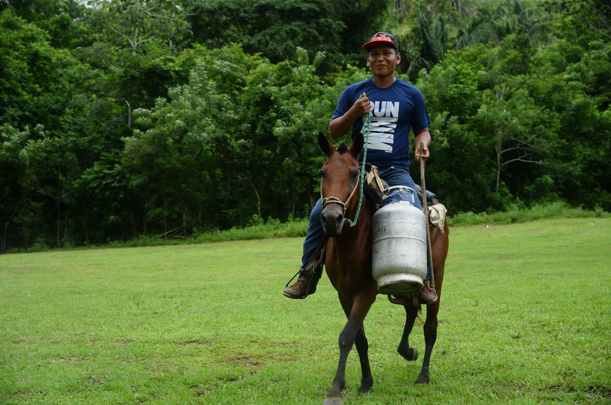 En el corregimiento de El Llano de Chepo claman por una carretera para comercializar sus productos. Video