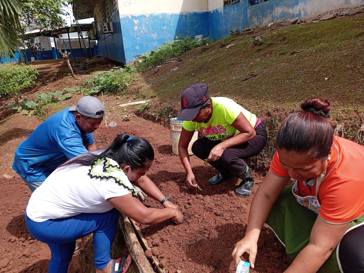 Técnicos del MIDA capacitan a padres y docentes de Bocas del Toro en huertos escolares para alimentar a 3,840 niños