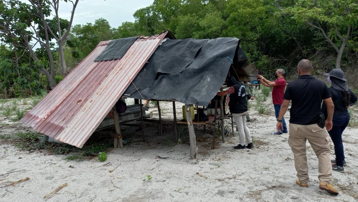 Desmantelan en Punta Chame campamento donde talaban manglar de forma ilegal