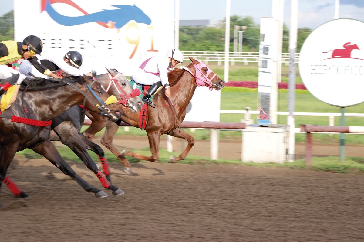 Hípica. Tenemos los pronósticos y aprontes para que gane en cada carrera este viernes y sábado 