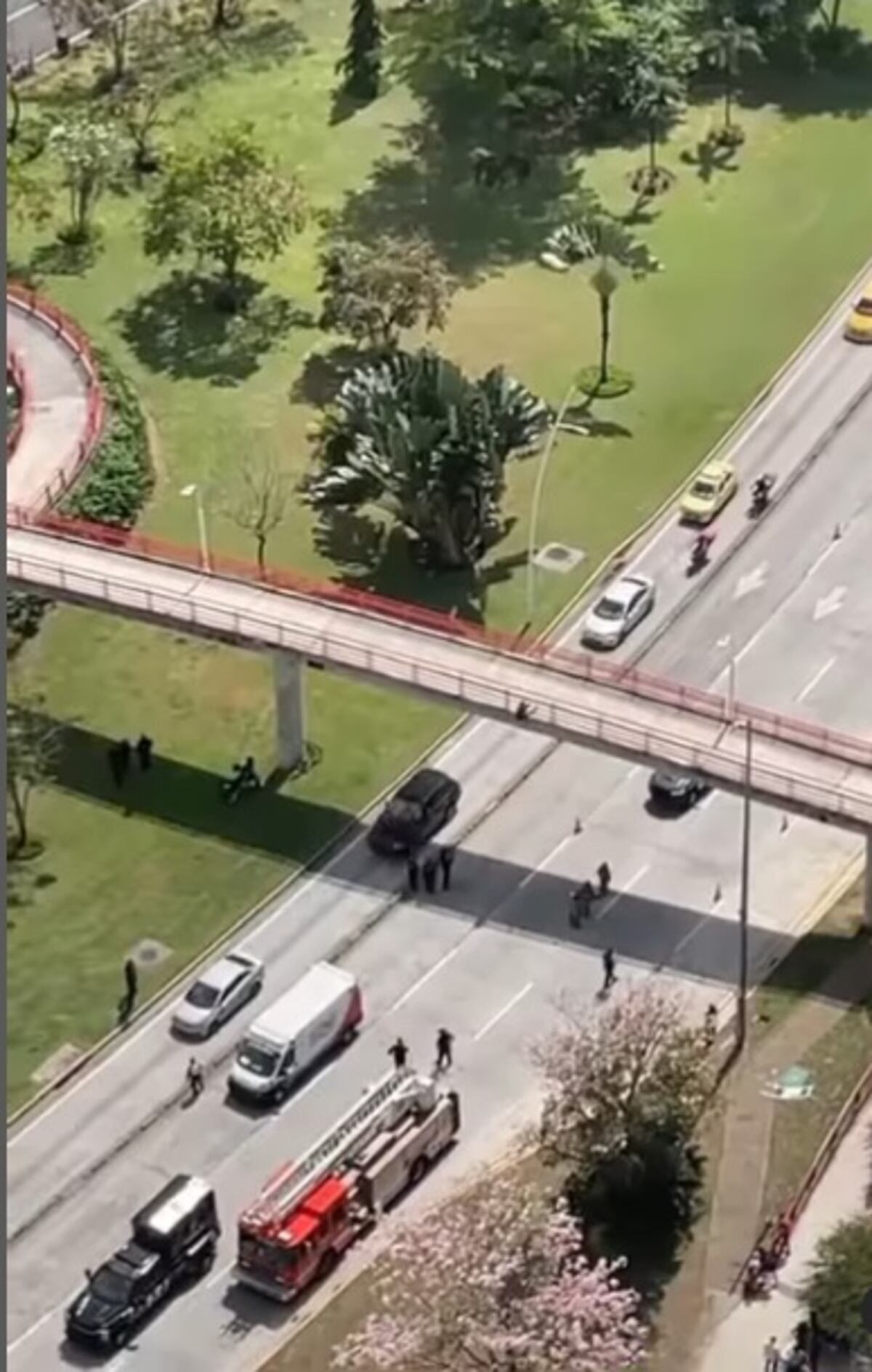 De película. Así fue el rescate de la mujer que amenazaba con lanzarse de un puente en la Cinta Costera. Video