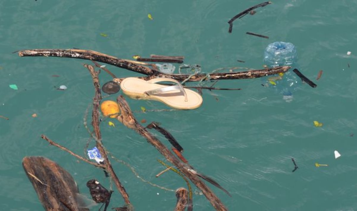 ¡COCHINADA!  Se acaba el año y miren cómo está Amador |VIDEO + FOTOS