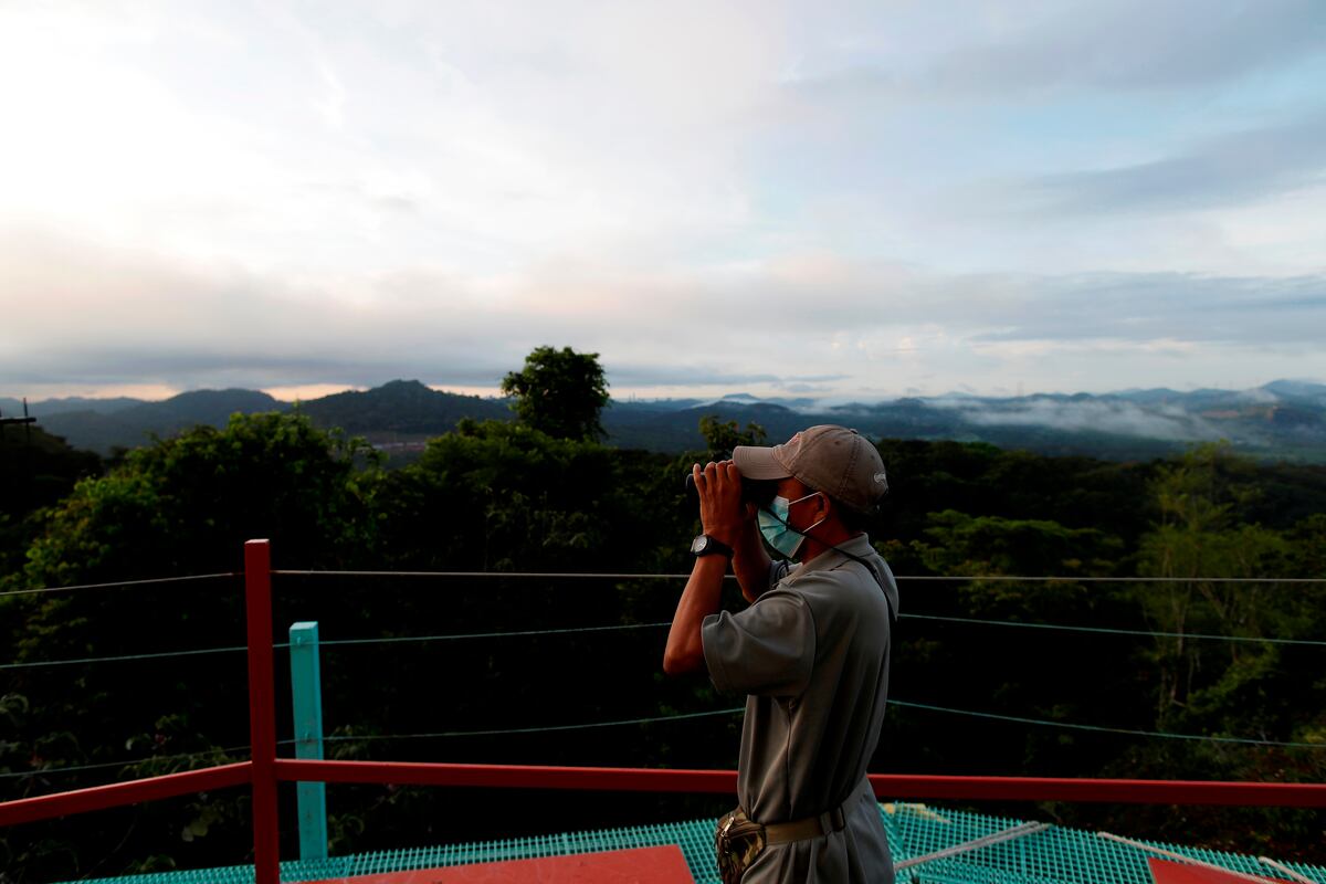 Panamá busca ser ‘líder’ en avistamiento de aves en Centroamérica
