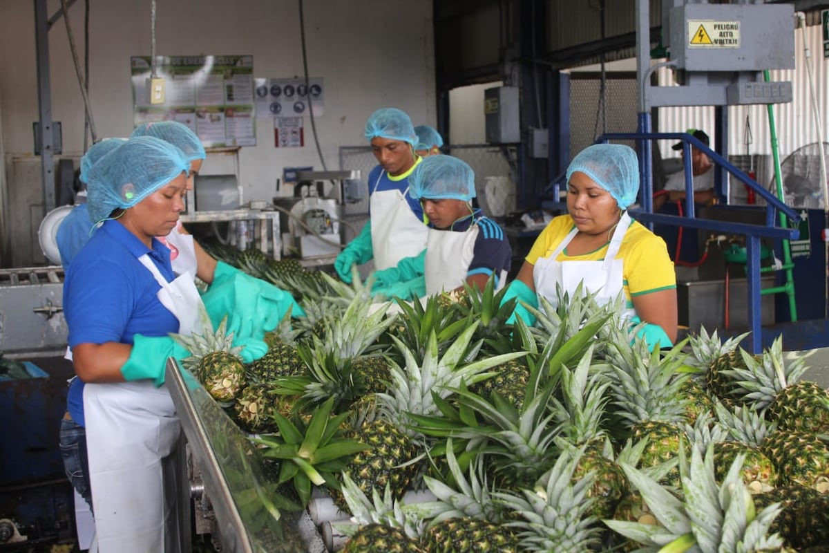 Elimina agencia para atraer inversiones en el MICI y crea una nueva en el Ministerio de Relaciones Exteriores