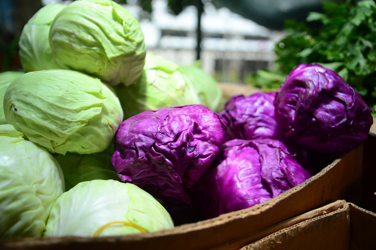 Que su alimentación sea saludable con ayuda de todos