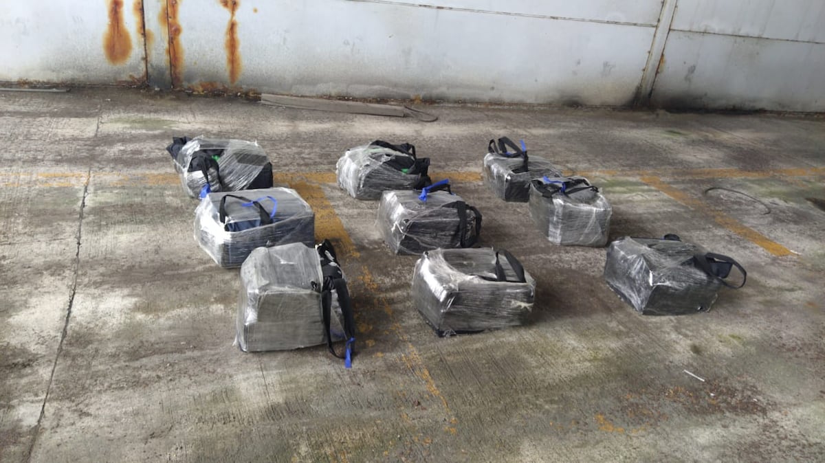 Senan decomisa droga en Colón que tenía como destino final Bélgica