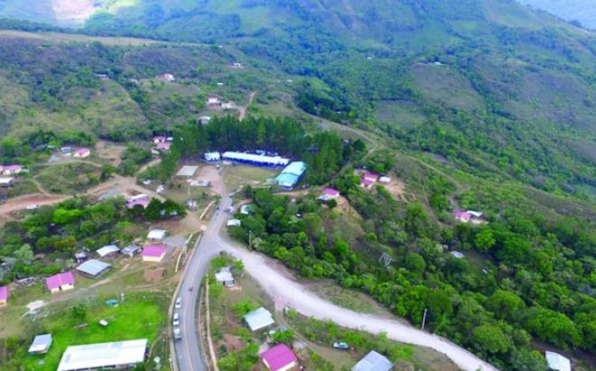 OTRA TRAGEDIA EN LA COMARCA. Niño de 10 años muere al caer de un árbol de nance 
