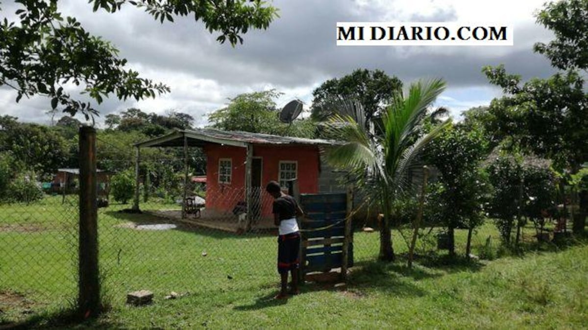 LA MATA A GOLPES. Hombre acaba con su mujer en Chilibre.