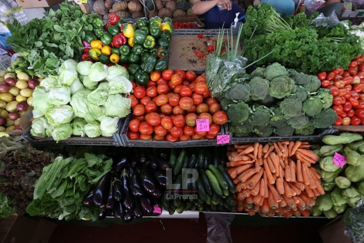 Productores ofrecerán mejores precios en sus dos módulos en la Nave Volcán en Merca Panamá