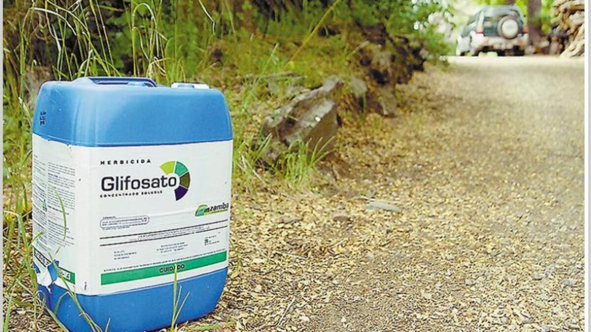 En Estados Unidos hallan pesticida en galletas y granolas