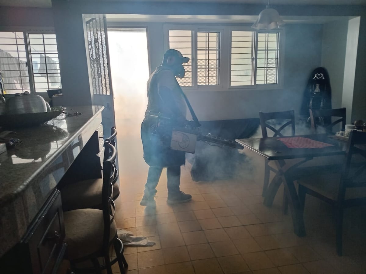 Betania y Pueblo Nuevo lanza operativos contra el dengue tras detectar casos en viviendas
