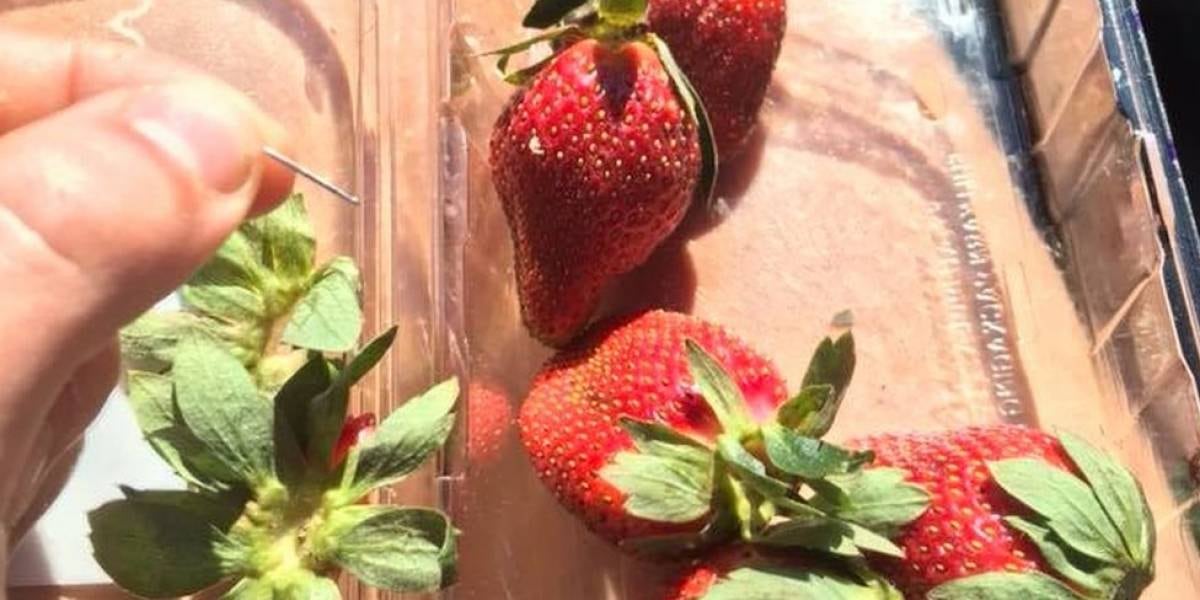 Hallan más fresas con agujas. Los casos van de Australia hasta Nueva Zelanda
