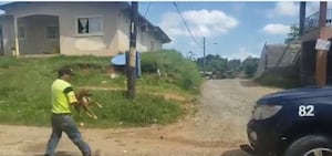 Dominicano que mató a machetazos a un perro e hirió a otro enfrentará la justicia