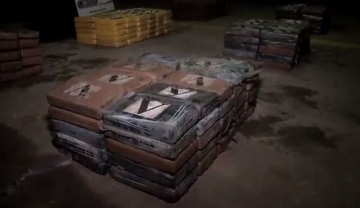 Decomisan 200 paquetes de droga en un un contenedor