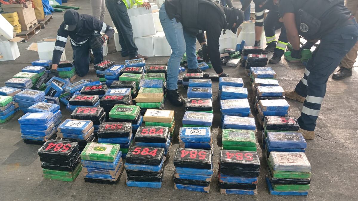 Operativo conjunto desmantela importante carga de drogas con destino a España