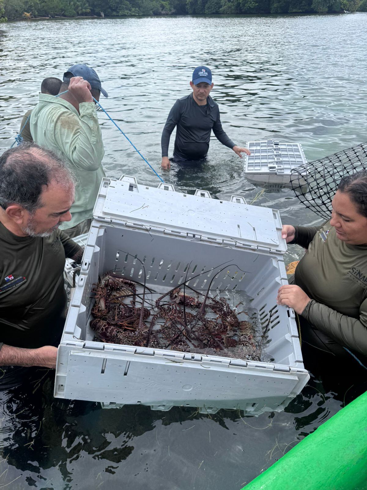 Cierre temporal de Isla Escudo de Veraguas: el paraíso panameño golpeado por la contaminación y pesca ilegal