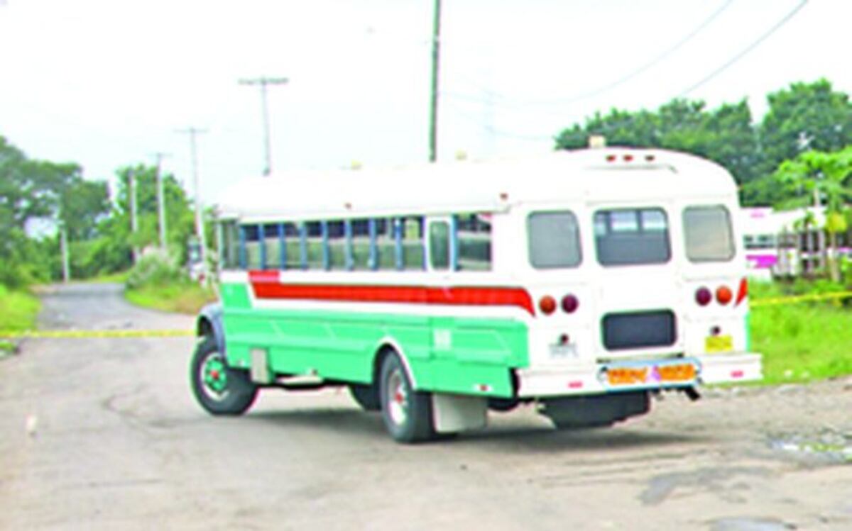 Lamentable. Abuela pierde batalla tras ser arrollada por diablo verde en Chepo