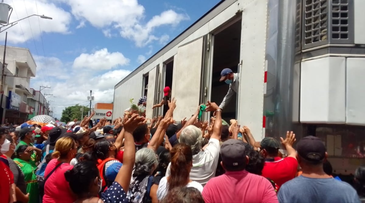 Esto se descontroló. Productores regalan sus cultivos y se forma la arrebatiña en Chiriquí. Video