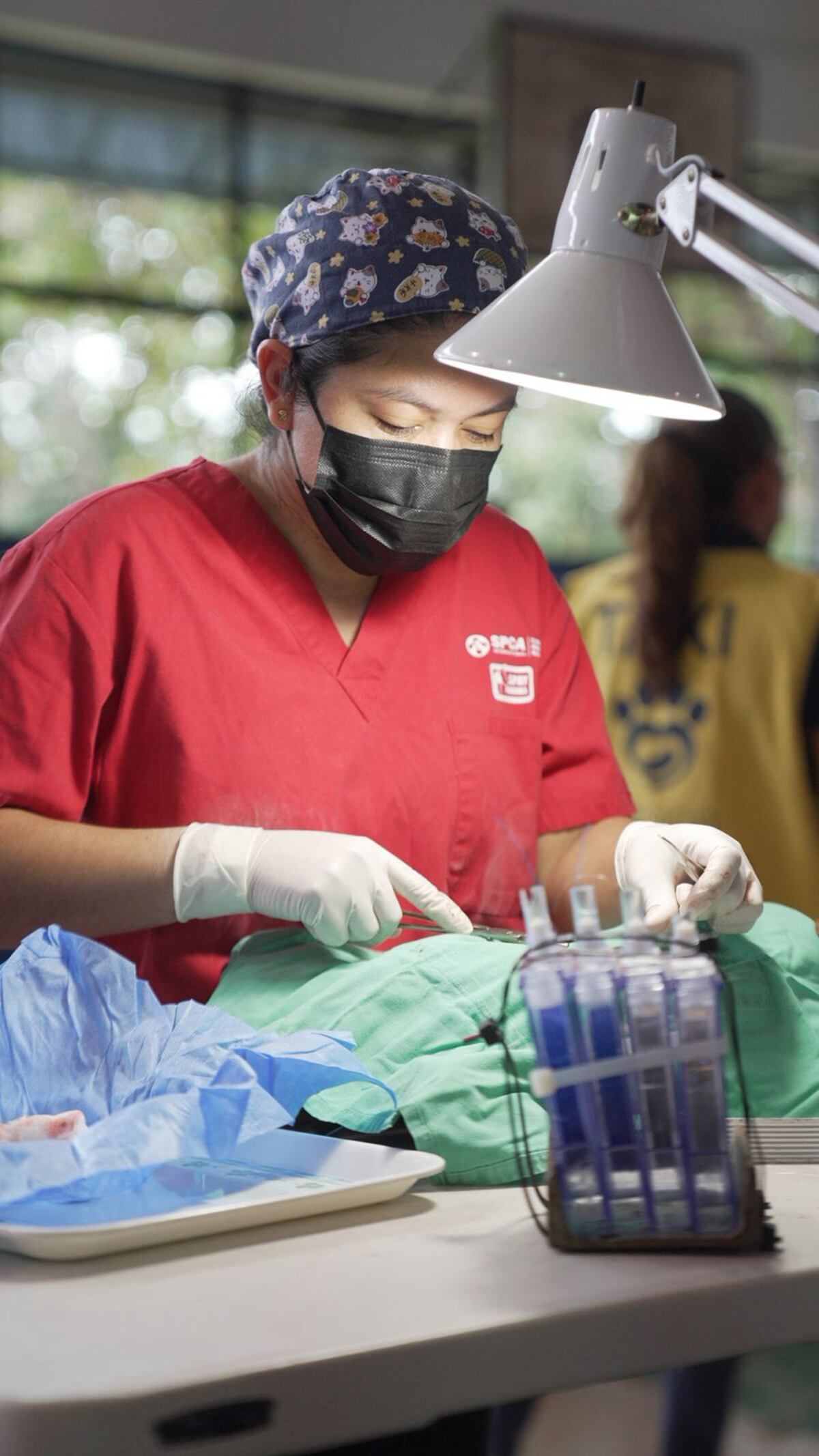 Familias de Coclé celebran jornadas gratuitas de Misión Patitas