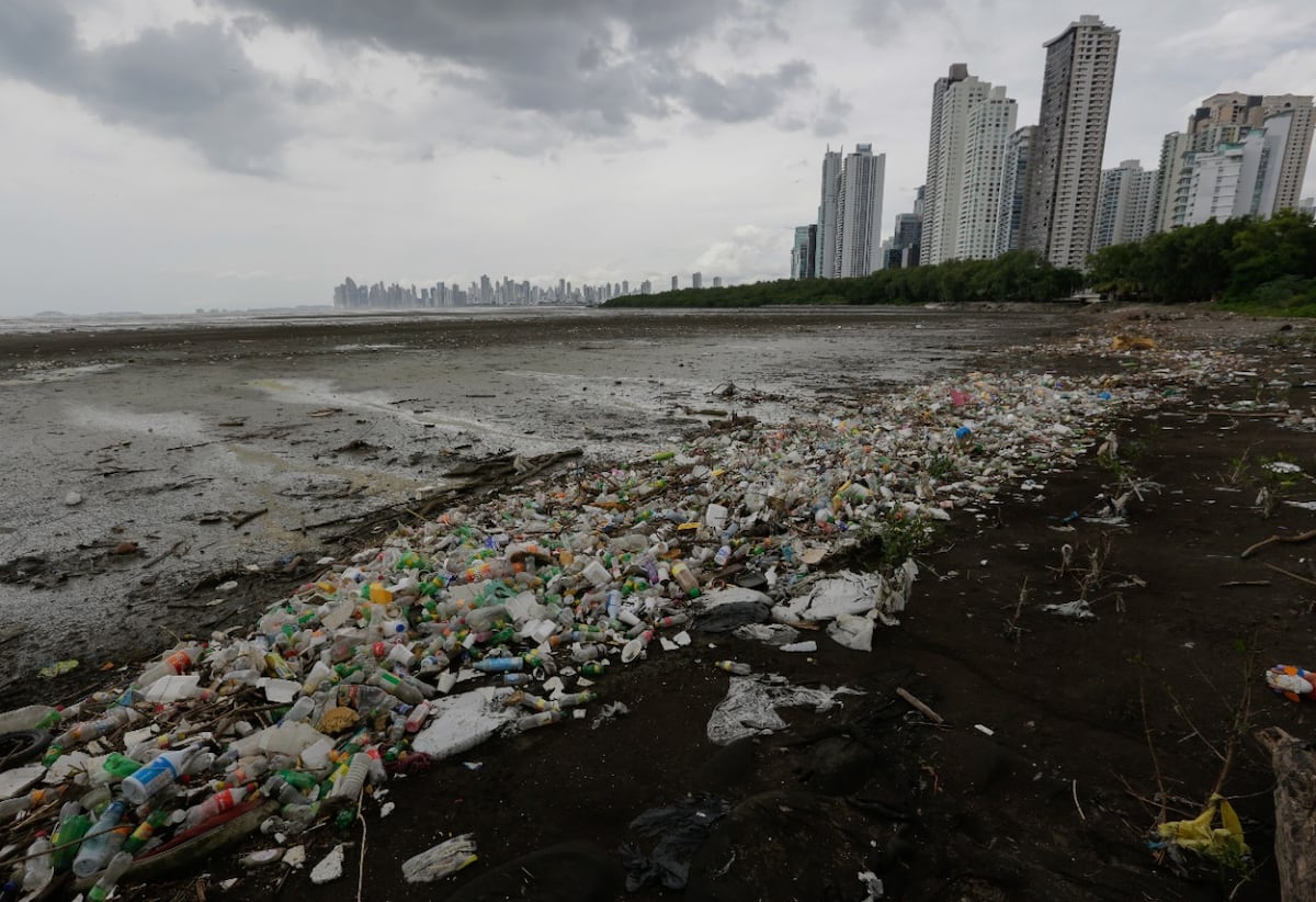 Impresionante. Así está la situación de la playa en Costa del Este en medio de la pandemia