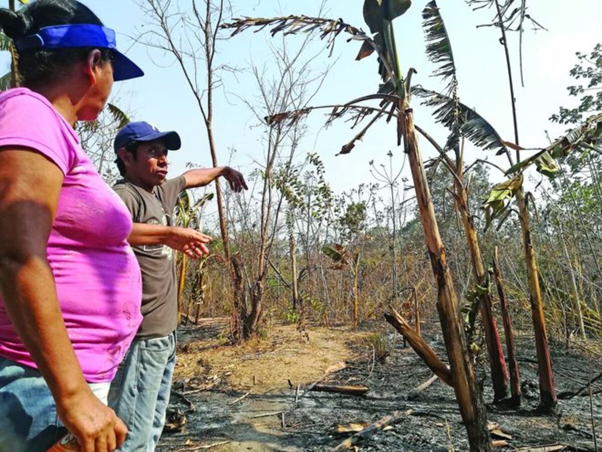 Hombre muere calcinado en Antón
