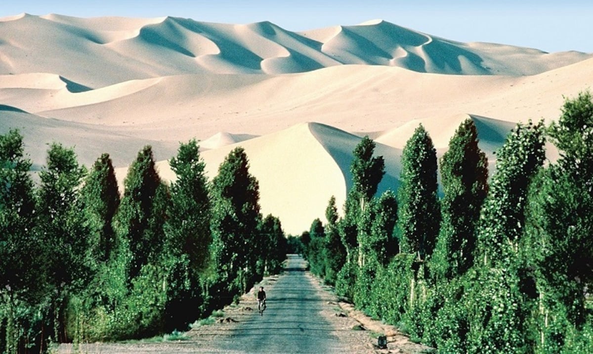 ¡MURALLA VERDE! China ayudará a África a construirla