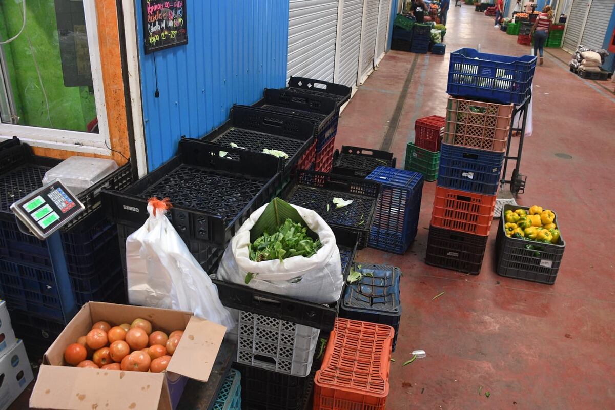 En Merca Panamá aún hay alimentos. La atención se centran en el paro de transportistas