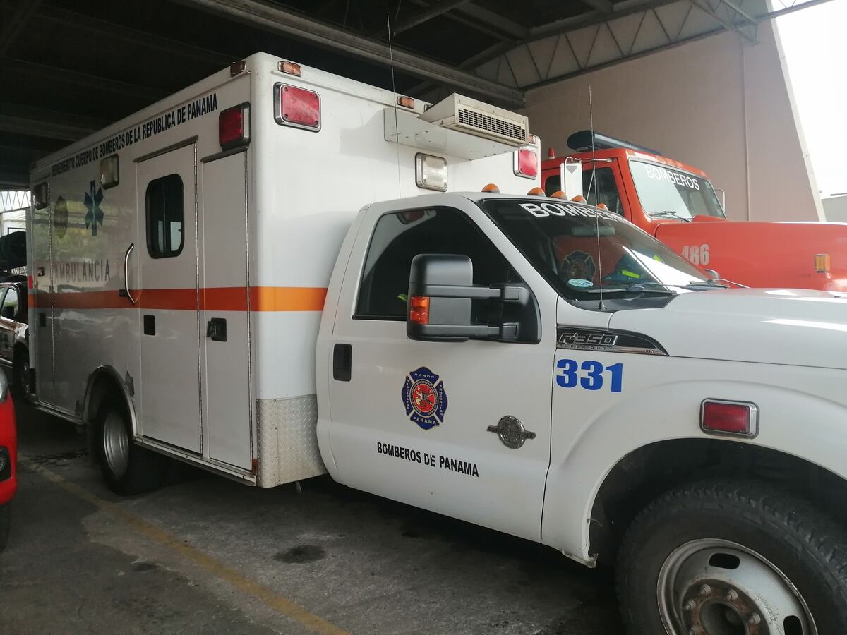 Lamentable. Enjambre de abejas africanizadas lo matan en Pita de Quebro, Veraguas