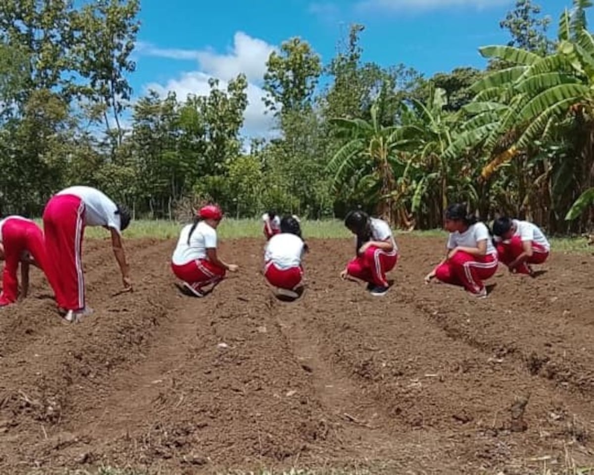 Estudiantes de La Salineta aprenden a cultivar alimentos en su nuevo huerto escolar