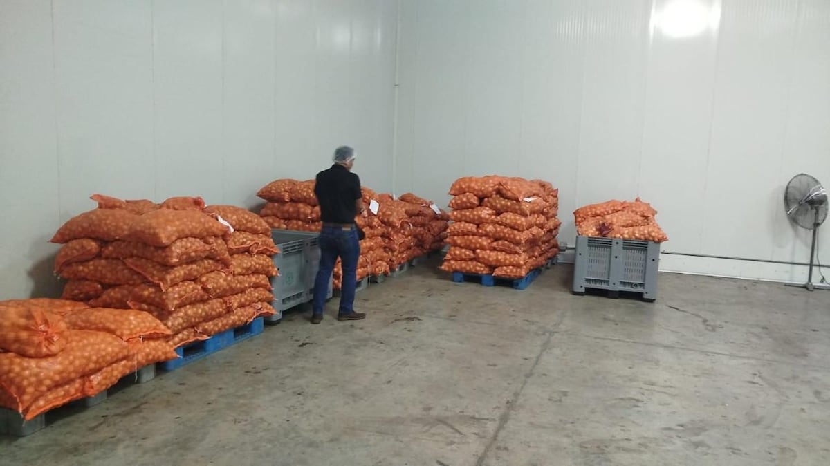 Coclé afina el manejo de la cebolla tras gira técnica en Volcán