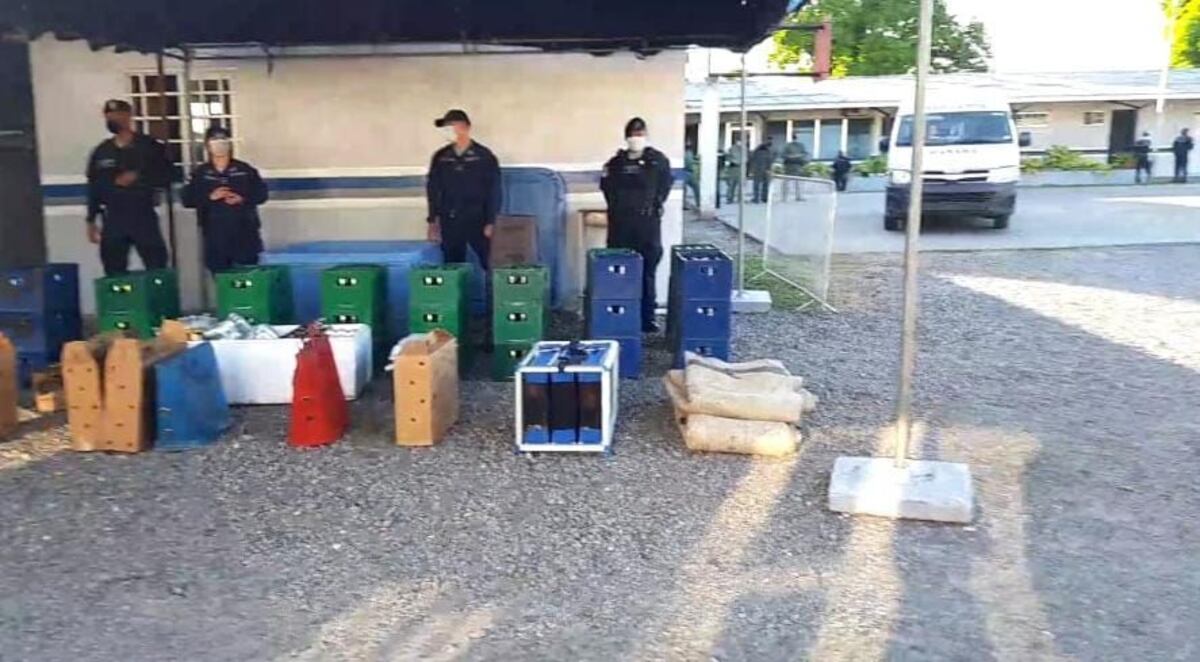 Salieron volando cuando llegó la Policía en una pelea de gallos