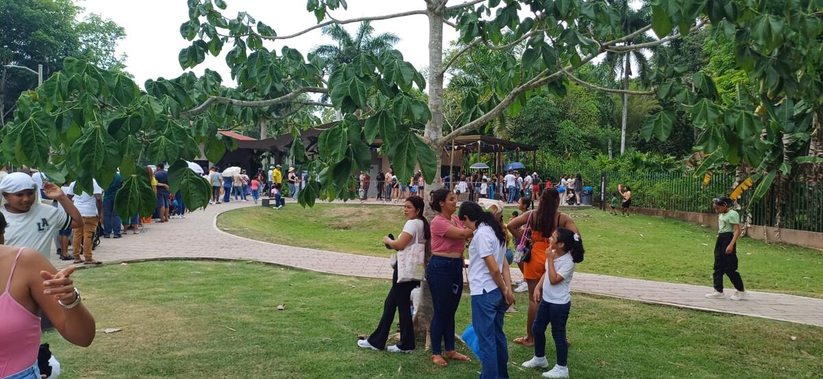 Los pelaitos salieron sin huevo de Pascua del Summit