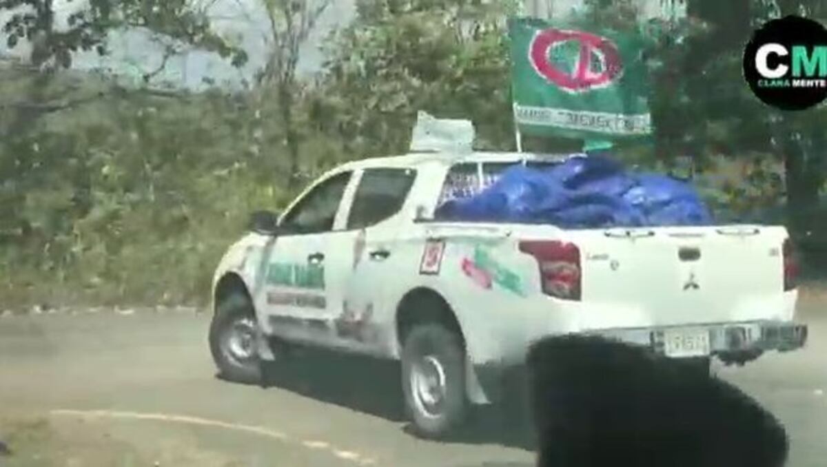 Reportero gráfico denuncia que fue agredido  por activistas de Yanibel Ábrego