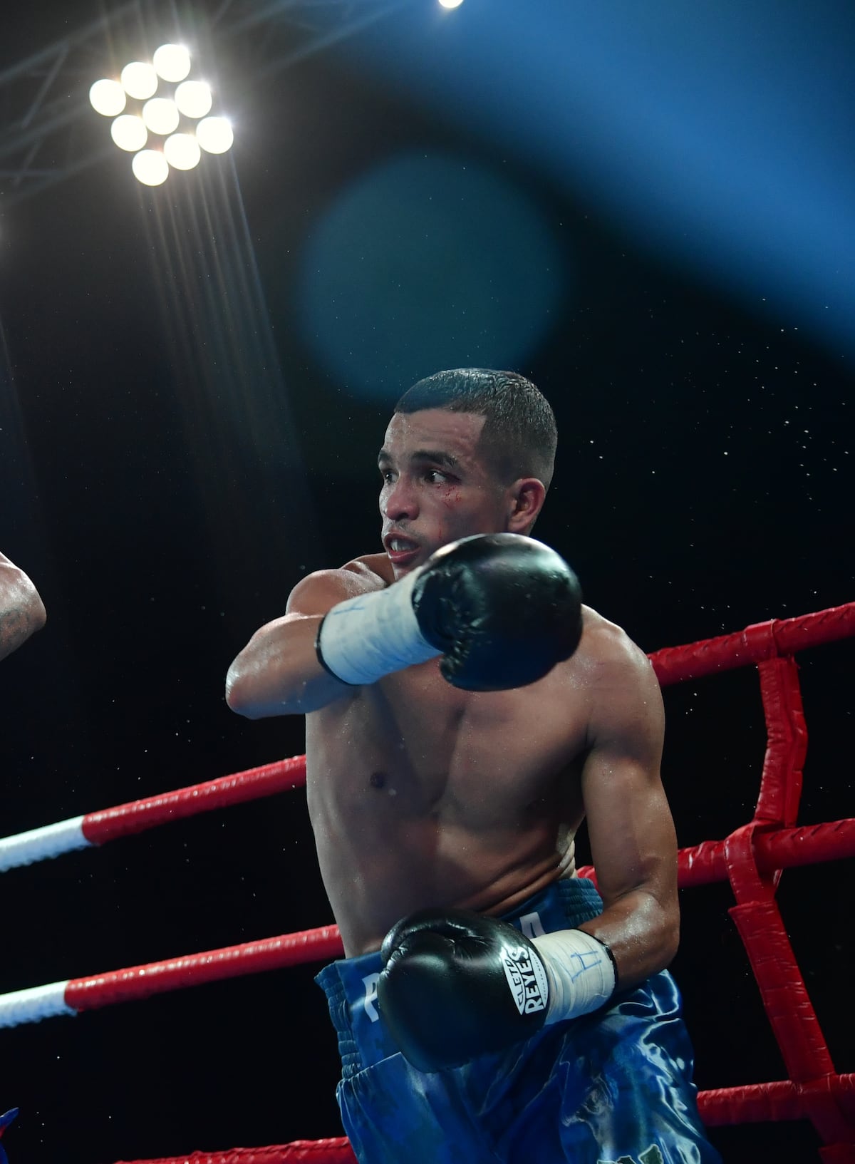 Seis panameños sobreviven en el último ranking de la AMB