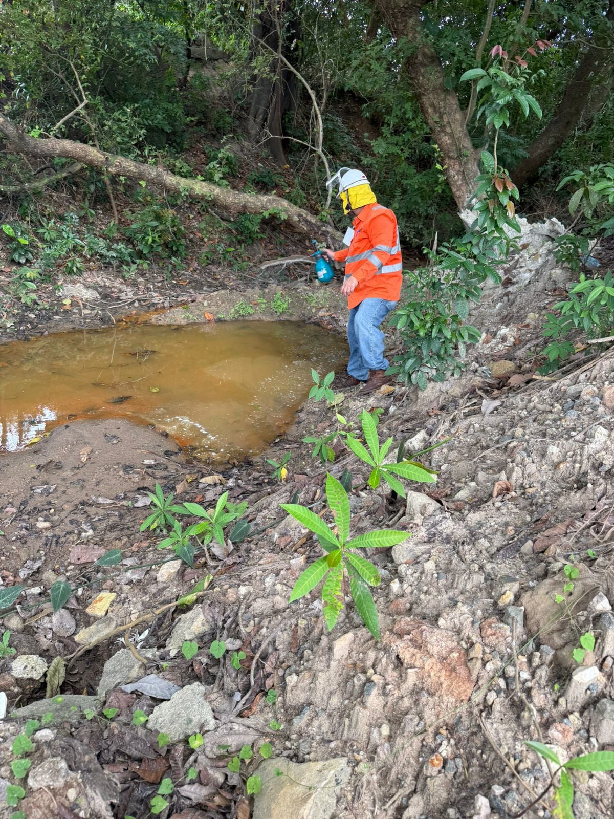 MiAMBIENTE y Bomberos controlan derrame de combustible tras accidente en Penonomé