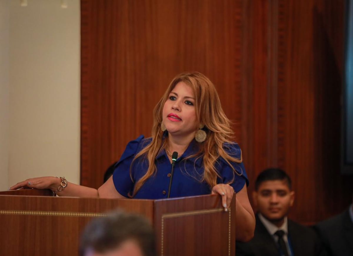 Organizaciones desmienten a directora de la Antai