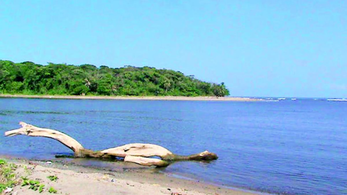 Ministro Pino solicita terrenos de la antigua base Sherman para tener instalaciones de vigilancia