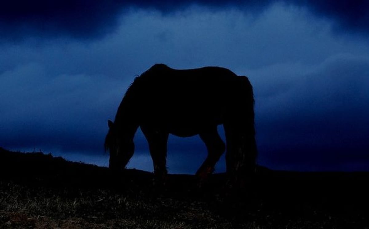¡DESFIGURADO! Lo matan a machetazos cerca del río Conaca en Atalaya