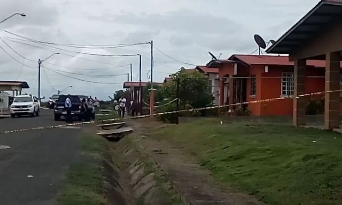 Lo desmembró con un machete. Buscan quién la ayudó