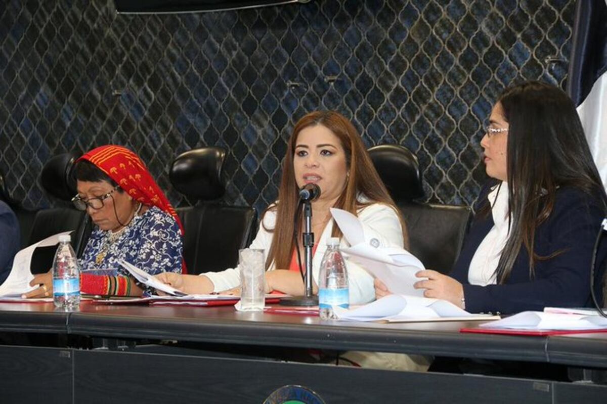 Rechazan proyecto de ley que daría identidad a los bebés fallecidos en el vientre materno