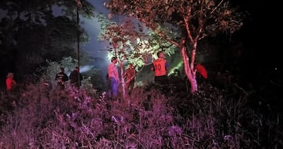 Presunta descarga eléctrica lo alcanza en un árbol en Chiriquí