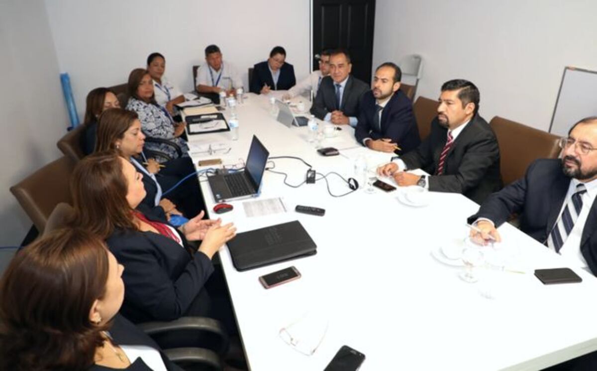 Expertos analizan planificación del proceso electoral