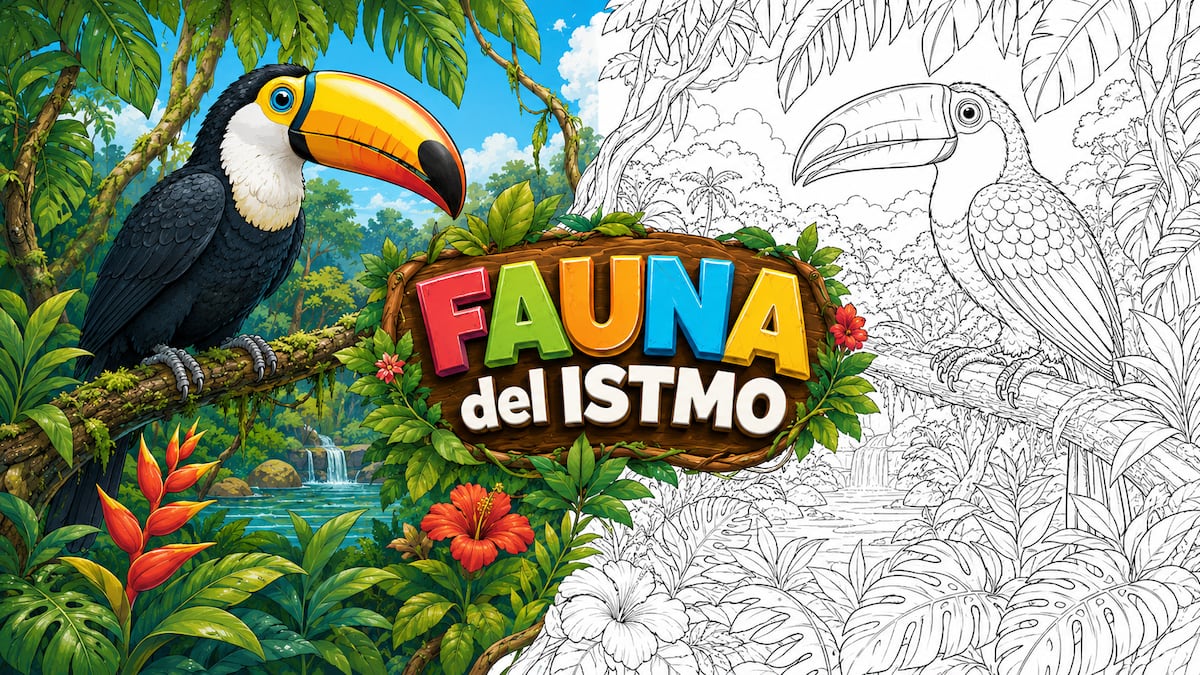 Los tucanes llegan a ‘Fauna del Istmo’: Mi Diario te invita a colorear y aprender sobre estas aves panameñas